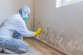 Why You Should Choose Our Mold Remediation Services in Blair, WI