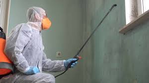 Best Industrial Mold Remediation  in Blair, WI